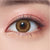 OLENS Honey Shine One Day Brown Contact Lenses 10 Pack - Brighten your eyes with a beautiful honey-brown shade.